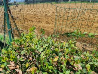 Petrignano d’Assisi e frazioni limitrofe: basta furti