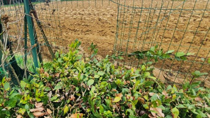 Petrignano d’Assisi e frazioni limitrofe: basta furti