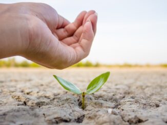 Emergenza climatica ambientale approvata mozione Pd M5S gruppo misto