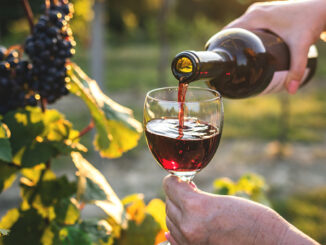 Nuova puntata del DiVinSalotto Strada dei Vini Etrusco-Romana
