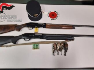 Forestale di Terni, stagione venatoria, denunciato un cacciatore per abbattimento di fauna protetta con il sequestro successivo