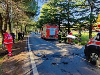 Scontro frontale, incidente stradale tra 2 auto al percorso verde, un ferito