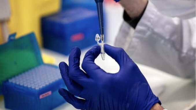 Covid, scoperto segreto immunità innata: difende anche da Omicron