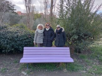 Disturbi del Comportamento Alimentare, a Perugia la panchina lilla