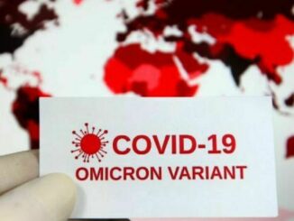 Svelato come Omicron interagisce con anticorpi, studio Cnr 