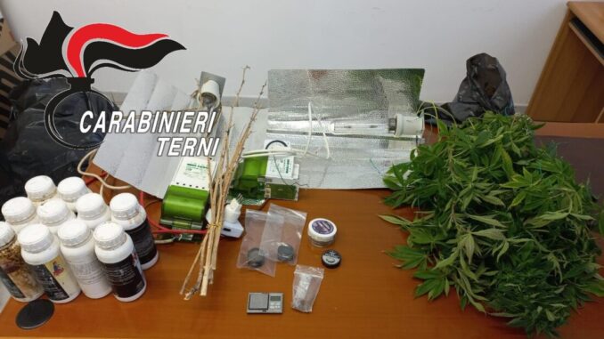 Piantina di marijuana trovata dentro abitazione a Terni, era in un ripostiglio