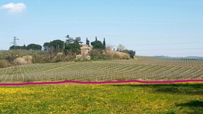 Podere Spicca, interviene Soprintendenza, luogo sotto tutela