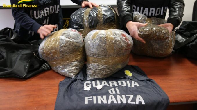Finanza sequestra 24 kg di marijuana, avrebbe fruttato 150mla euro, un arresto