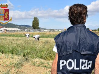 Otto lavoratori in nero, raccoglievano cipolle a Cannara, scoperto caporalato