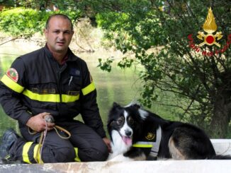 Morto Derby, cane vigile del fuoco, sua ultima missione, il Ponte Morandi