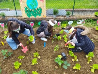 L’Istituto Comprensivo Perugia 12 sempre dalla parte della Natura