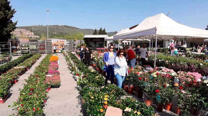Pian di Massiano in fiore - domenica 24 e lunedì 25 aprile dalle 8 alle 19