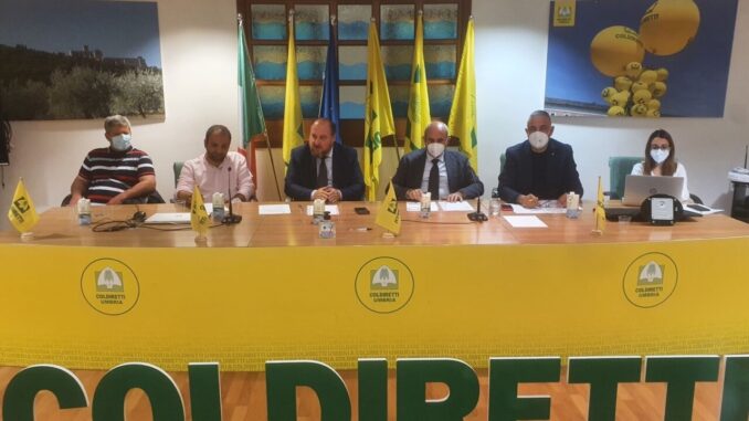 Coldiretti Umbria, suinicultura e peste suina africana: documento alla regione per salvaguardia comparto