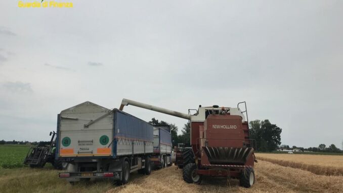 Pirateria agroalimentare, sequestrati 105.750 kg di grano - 5 denunce