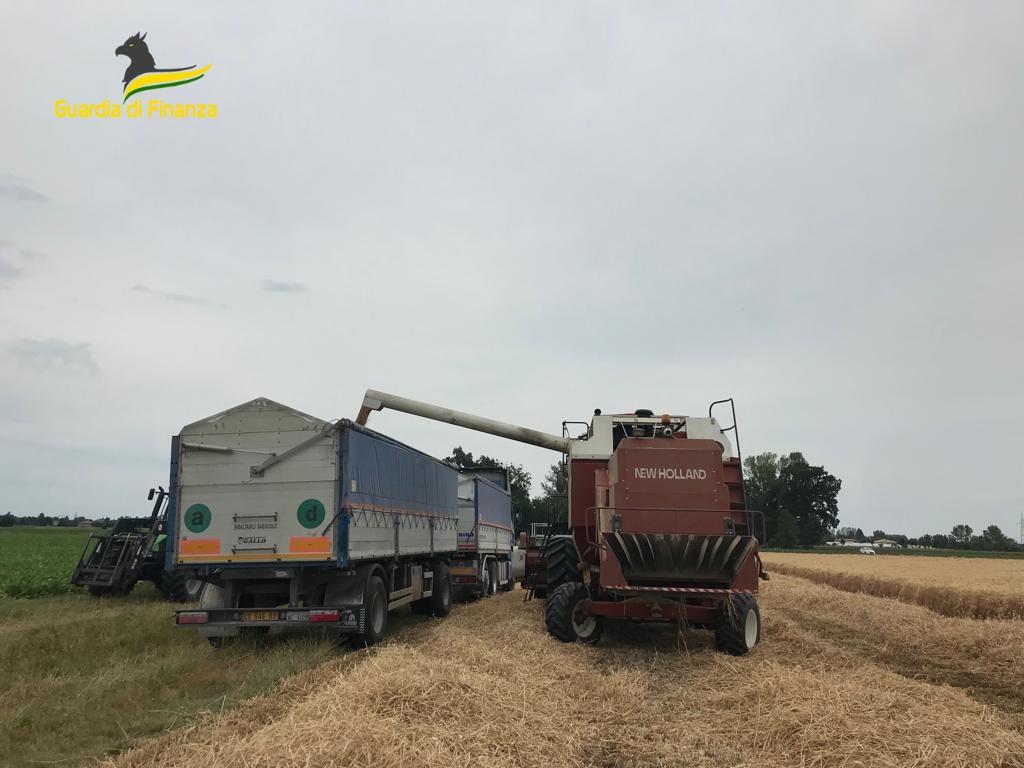 Pirateria agroalimentare, sequestrati 105.750 kg di grano - 5 denunce