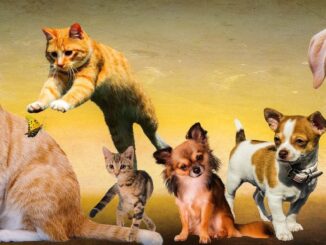 Nasce a Perugia Dog Smile primo social network dedicato agli animali