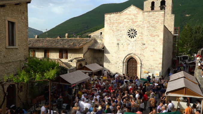 Fior di Cacio