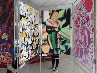 All’Ospedale le opere degli studenti dell'Artistico dedicate al corpo umano