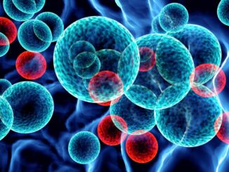 Leucemia linfatica cronica, esperti a confronto su qualità vita pazienti