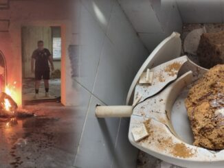 Atti vandalici alla scuola Ponte del Sole di Orvieto, reperti archeologici nel wc