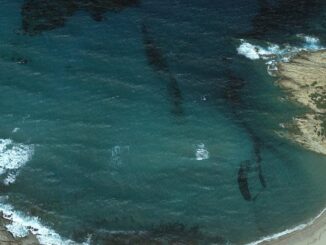 Umbertidese muore annegato, tragedia nel mare di Sardegna