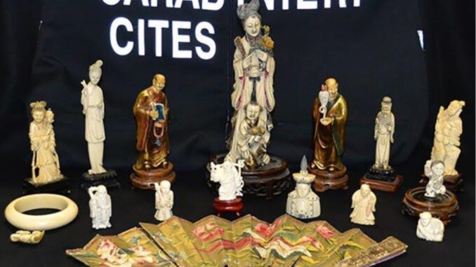 Si torna a viaggiare, attenzione all'acquisto di souvenir, regole da rispettare