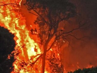 Incendi, studio IIPH: nel 2021 in Italia 160mila ettari in fumo