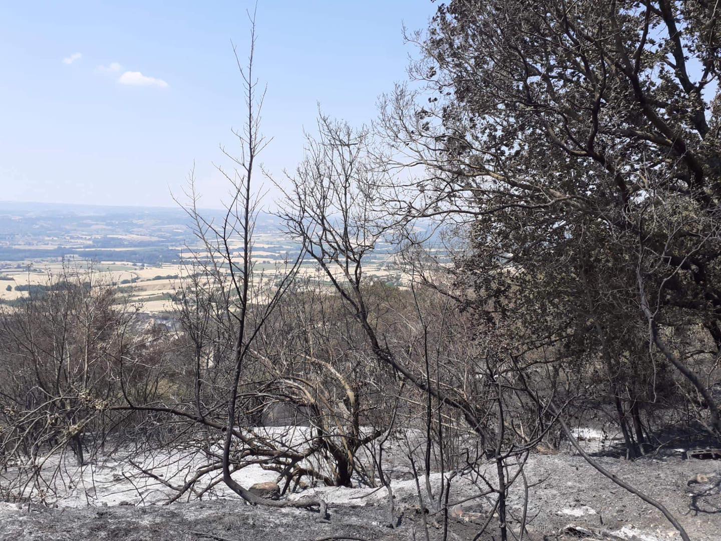 Incendi: Legambiente, nel 2021 oltre 159mila ettari devastati (+154,8%)