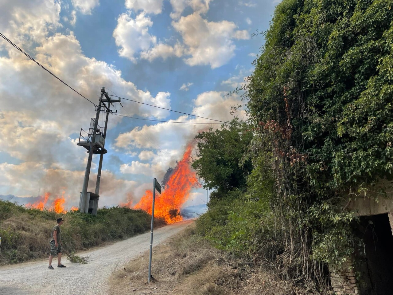 Incendi boschivi, Carabinieri Forestali arrestano una persona, e ne denunciato 26