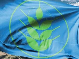 Spighe verdi 2022, riconoscimento per 5 Comuni umbri