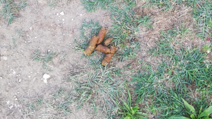 Bisognini del cane e la maleducazione del padrone
