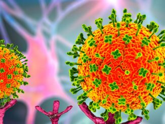 Identificato in Cina nuovo virus in 35 persone, colpisce anche fegato e reni 