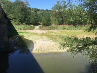 Legambiente Perugia lancia allarme: Tevere ridotto allo stremo