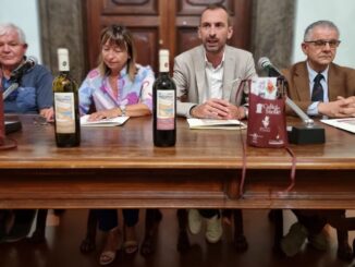 I Vinarelli e Calici di Stelle per l'Agosto Torgianese