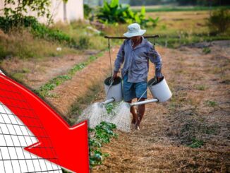 Conti in rosso aziende agricole, occorrono fatti per salvare comparto 