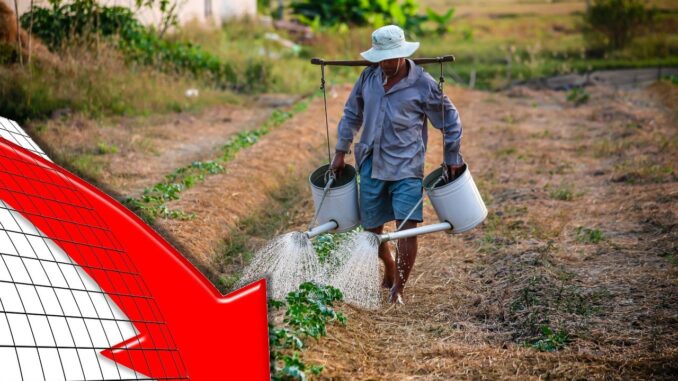 Conti in rosso aziende agricole, occorrono fatti per salvare comparto 