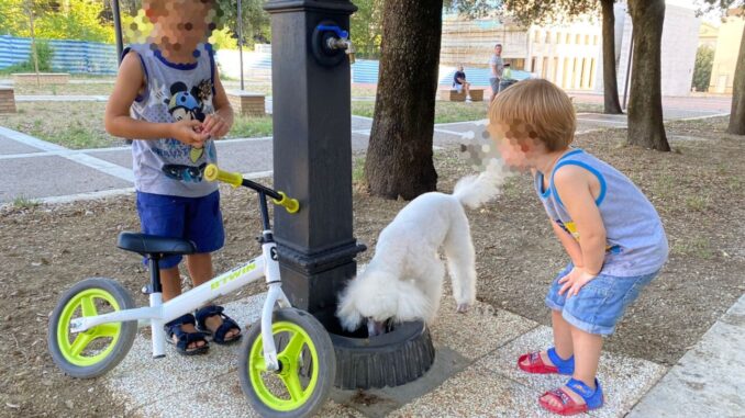 Inaugurata la fontanella nell’area skate di piazza del Bacio a Fontivegge