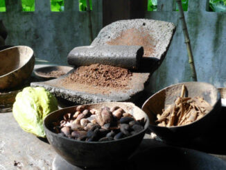Il Messico, con lo Stato di Tabasco, Ospite d’Onore Eurochocolate, conosciuto come la culla della cultura del cacao e la patria de cioccolato 