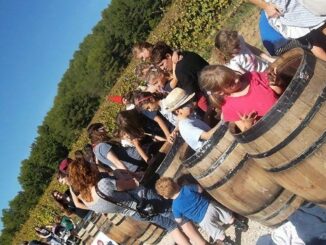 Nuovo appuntamento con Cantine Aperte in Vendemmia, ecco i luoghi dove andare