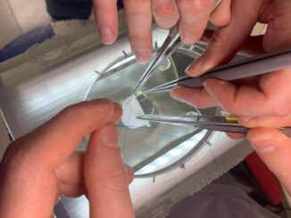 Chirurgia Padova formazione simulatore gabbia toracica creato con stampa 3D 