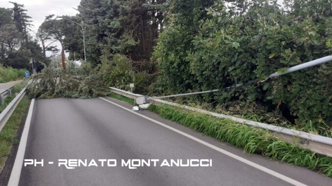 Maltempo ancora piogge, poi venti cancelleranno il caldo