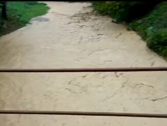 Richiesta stato calamità naturale per alluvione, Regione, la richiesta