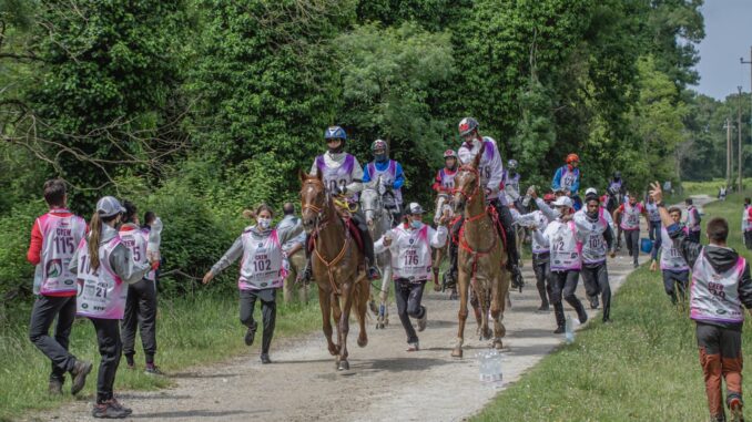 Candidatura dell’Italia al FEI Endurance World Championship 2023