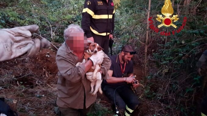 Cane spericolato finisce nella tana di un istrice, salvato dai Vigili del fuoco