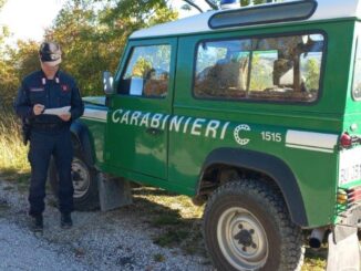 Aperta caccia al cinghiale, controllati 93 cacciatori, 7 sanzioni