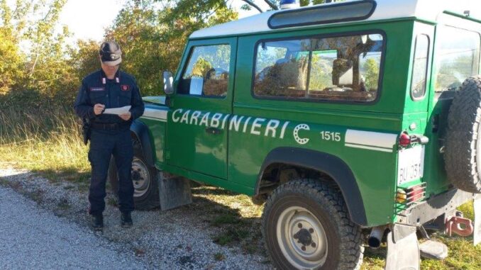 Aperta caccia al cinghiale, controllati 93 cacciatori, 7 sanzioni