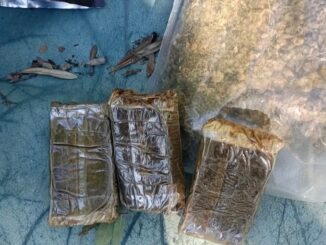 Terni, in strada della Civitella trovati circa 400 grammi di droga