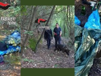 Controlli dei Carabinieri della Compagnia di Amelia nei boschi di Narni