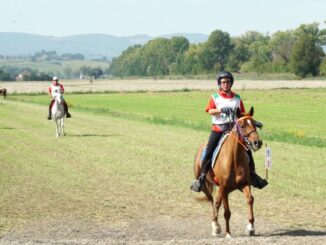 Coppa delle regioni endurance Veneto vince edizione 2022