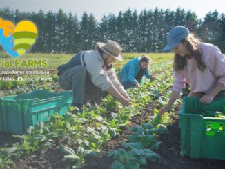 Fattorie sociali in Umbria, le proposte per il welfare in agricoltura